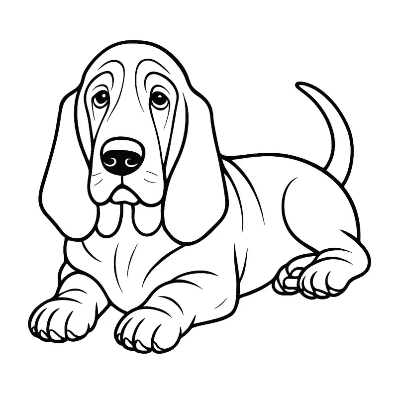 Adorable Basset Hound Coloring Page coloring page