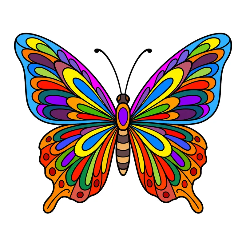 Detailed Butterfly Wing Patterns Coloring Page colored reference