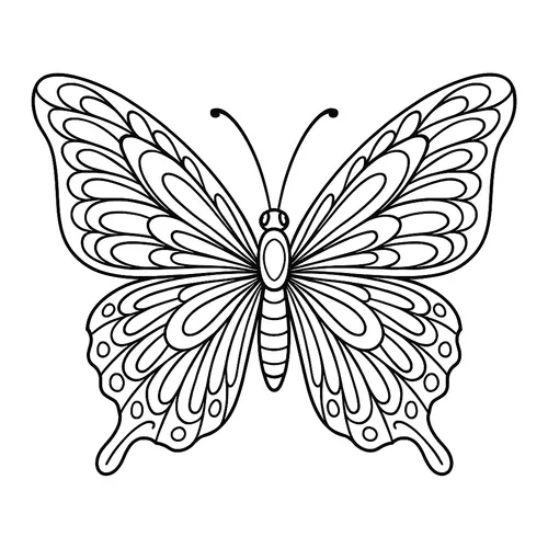 Detailed Butterfly Wing Patterns Coloring Page coloring page
