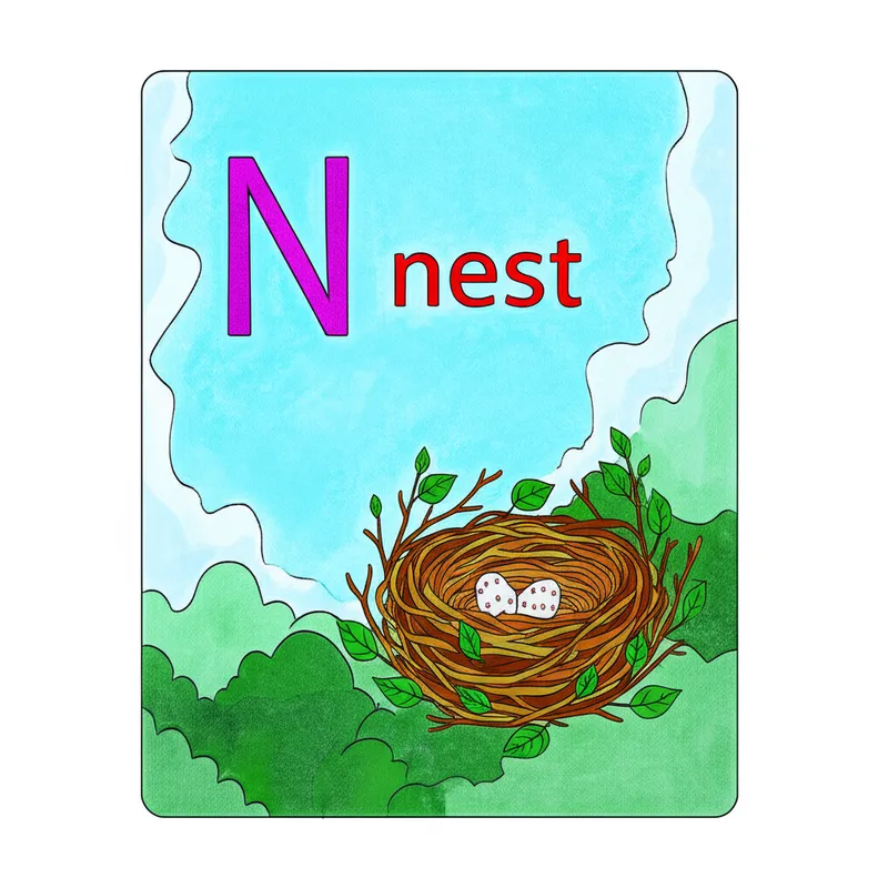 Letter N for Nest Coloring Page colored reference
