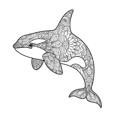 Majestic Mandala Orca Coloring Page